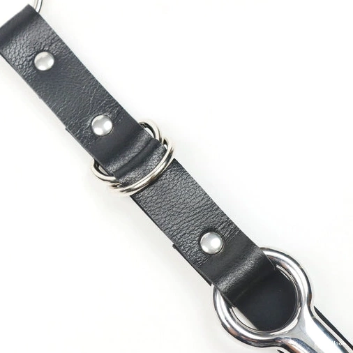 and Kinky 5853 with Collar EverydayUse Leash Hook Anal 0918